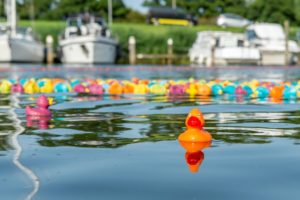 Duck Race ten bate van Hospice Het Tweede Thuis, organisatie De Bongte Hongd Westerland